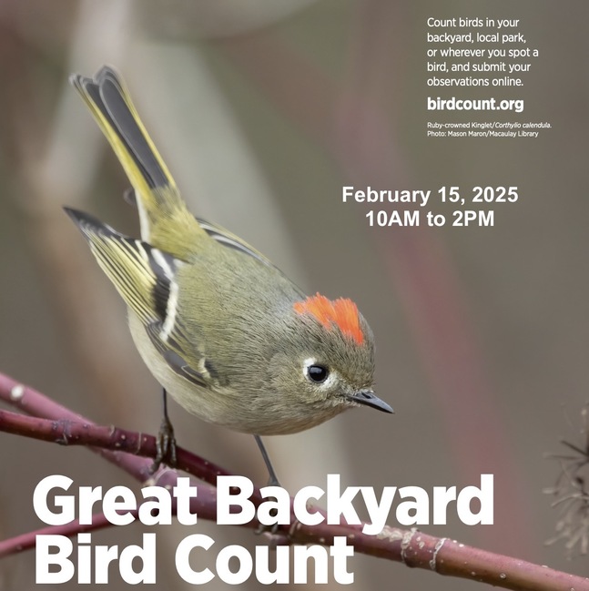 Great Backyard Bird Count